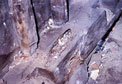 termite damage.jpg